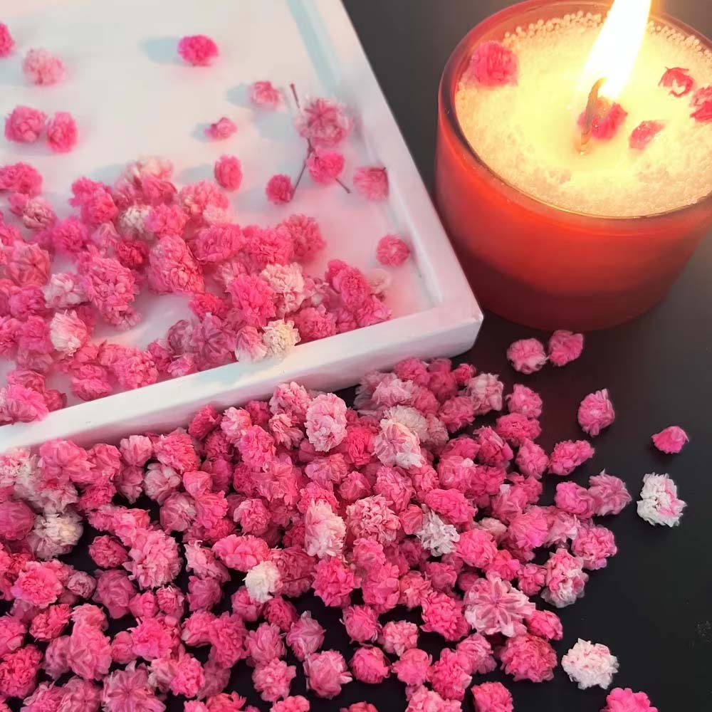 1Box Flower Mix for Crafts Can - Resin Art Earrings Design review and price
