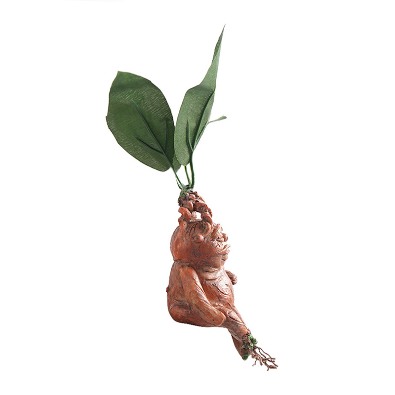 1PCS Mandrake Grass Resin Stat - Resin Art Gift For Anniversary review and price